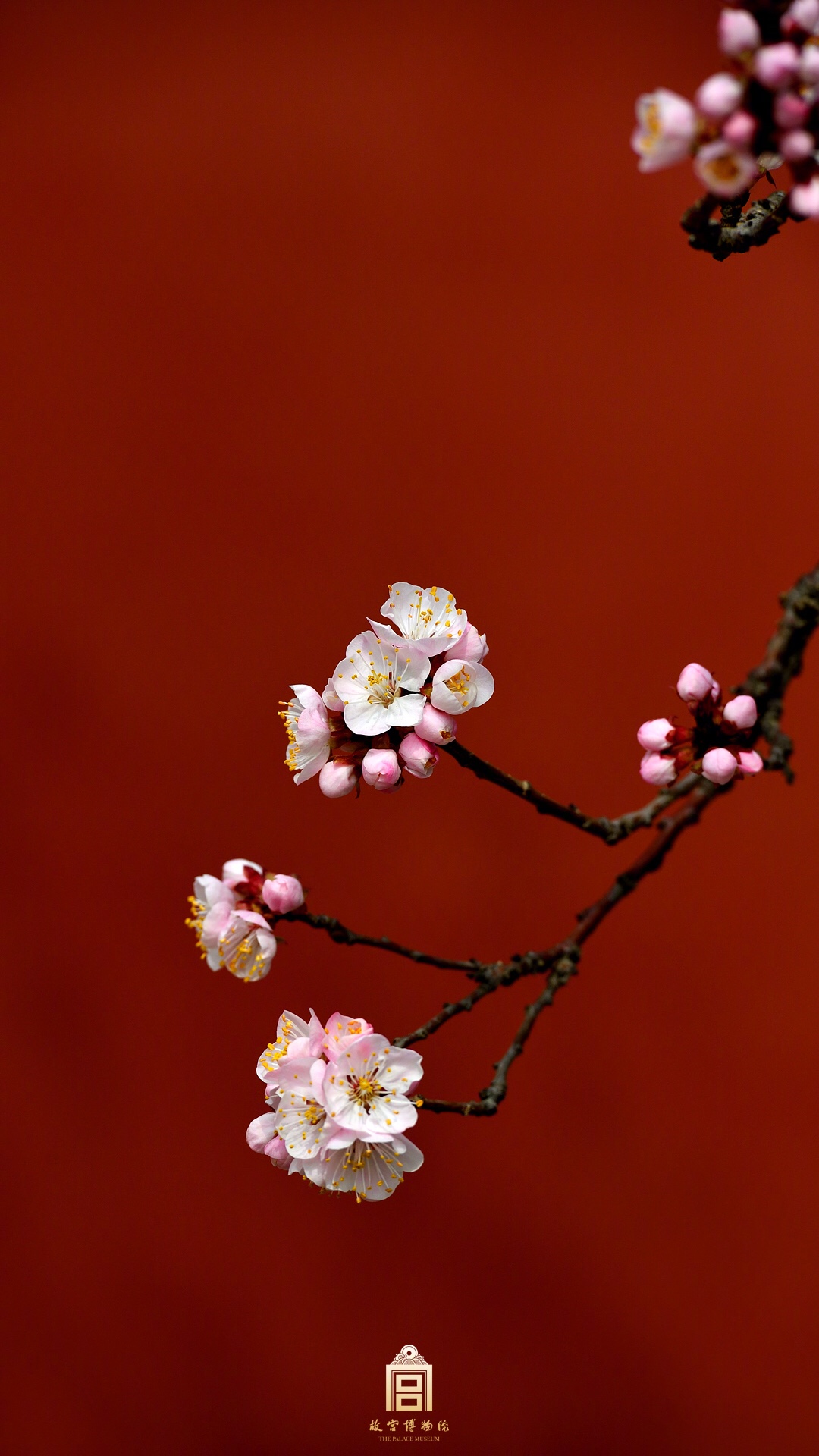 业主