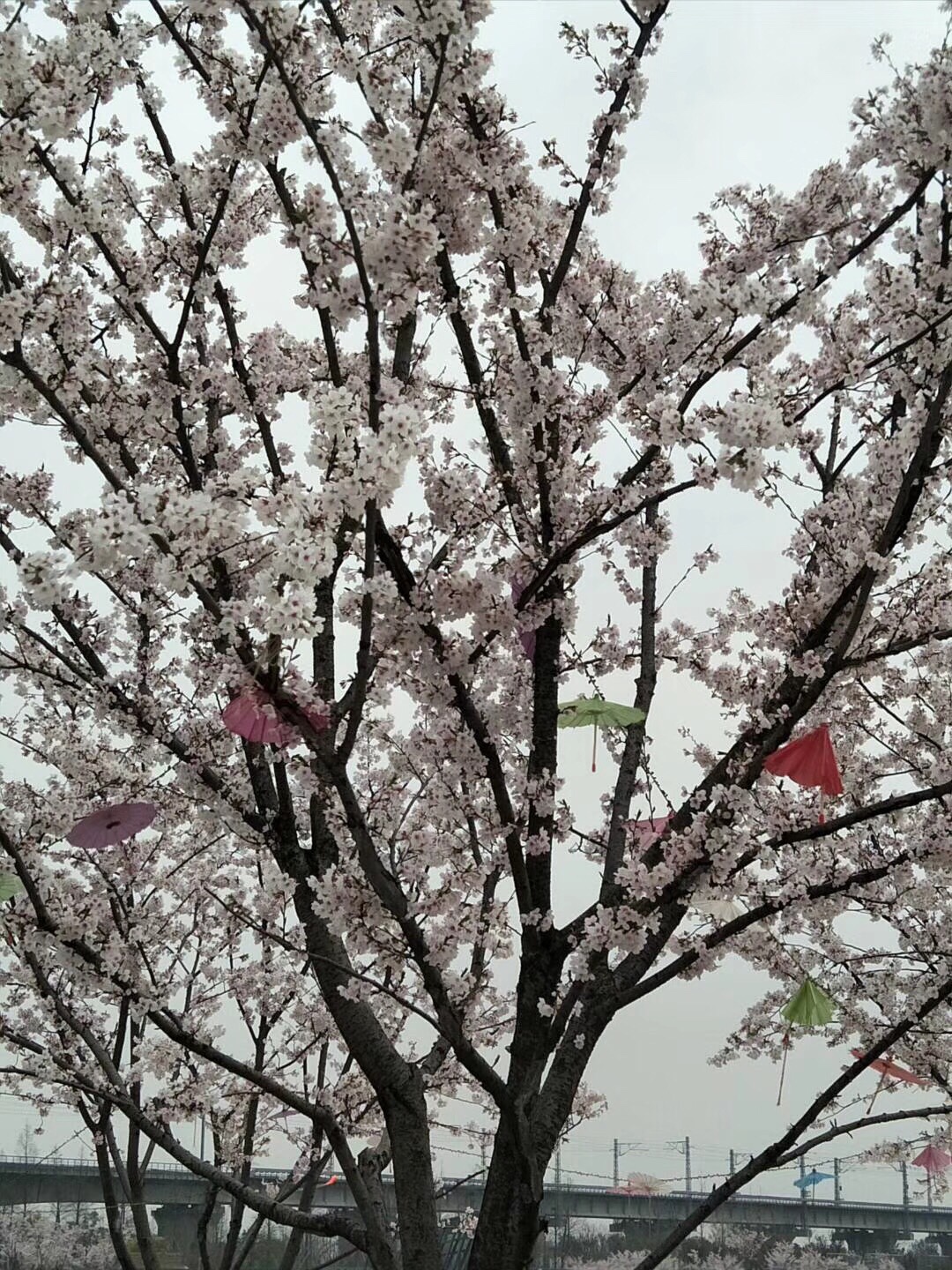 在一一下