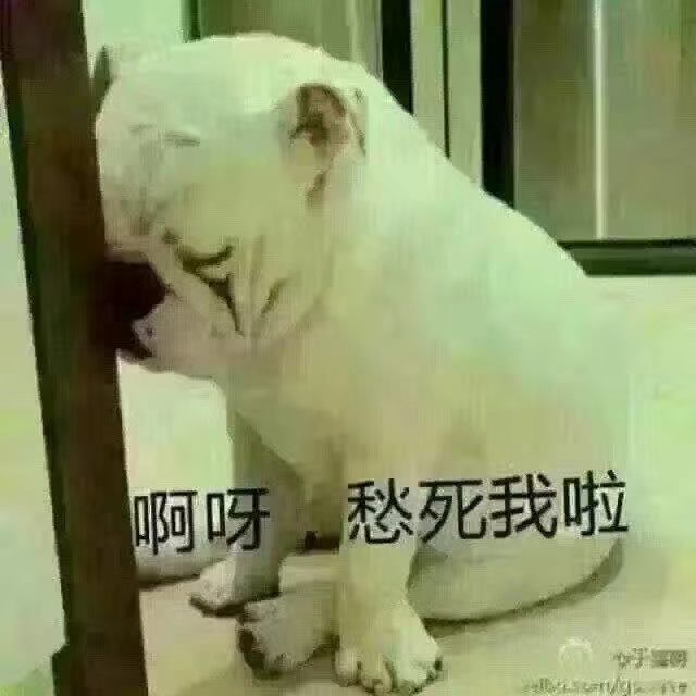 美团众包