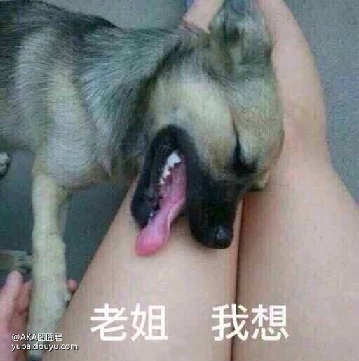 家具沙发