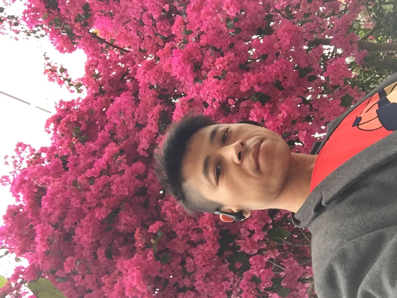 维修安装