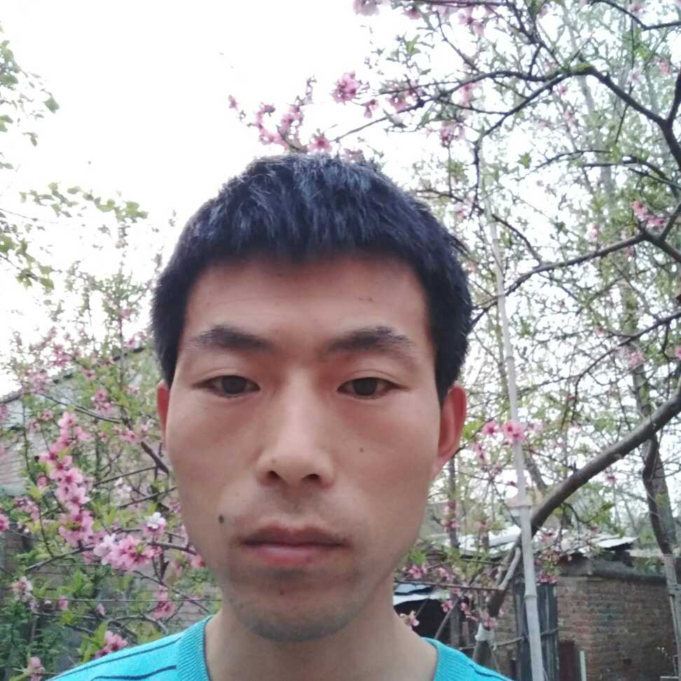 组装家具，按装木门，卫浴，加工衣柜吊顶等