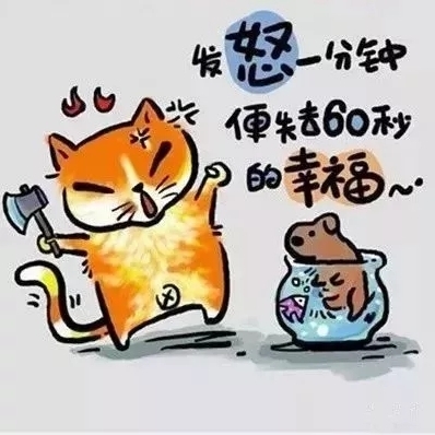 装修橱柜衣柜安装