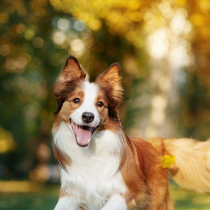 窗帘安装维修专业窗帘设计