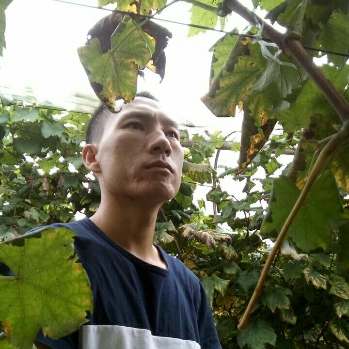 专业空调安装，移机