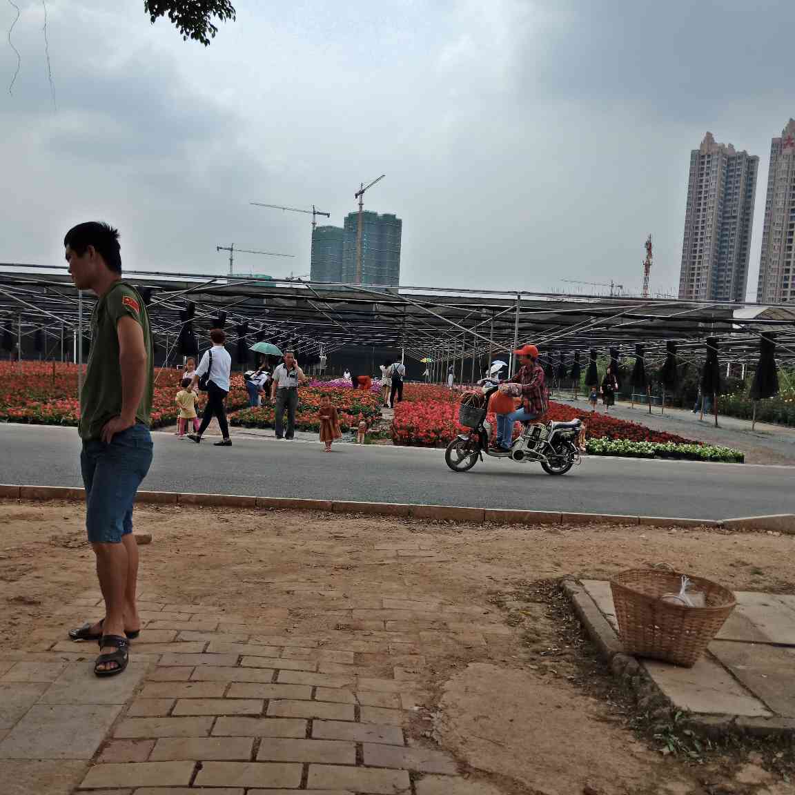 专业铁棚制作，搬家