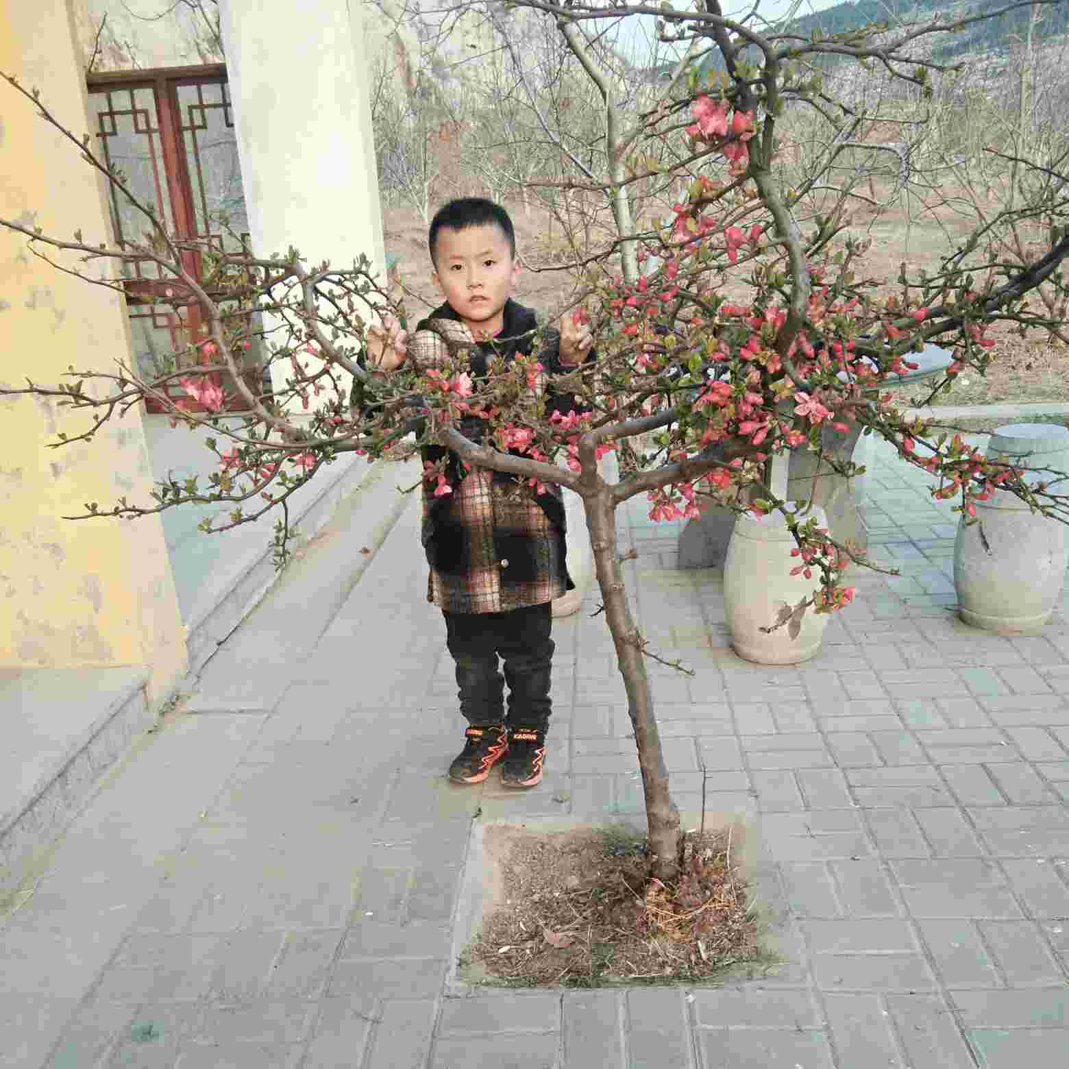 家电清洗维修家电清洗维修