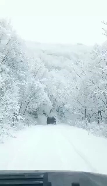 接单