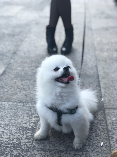 无