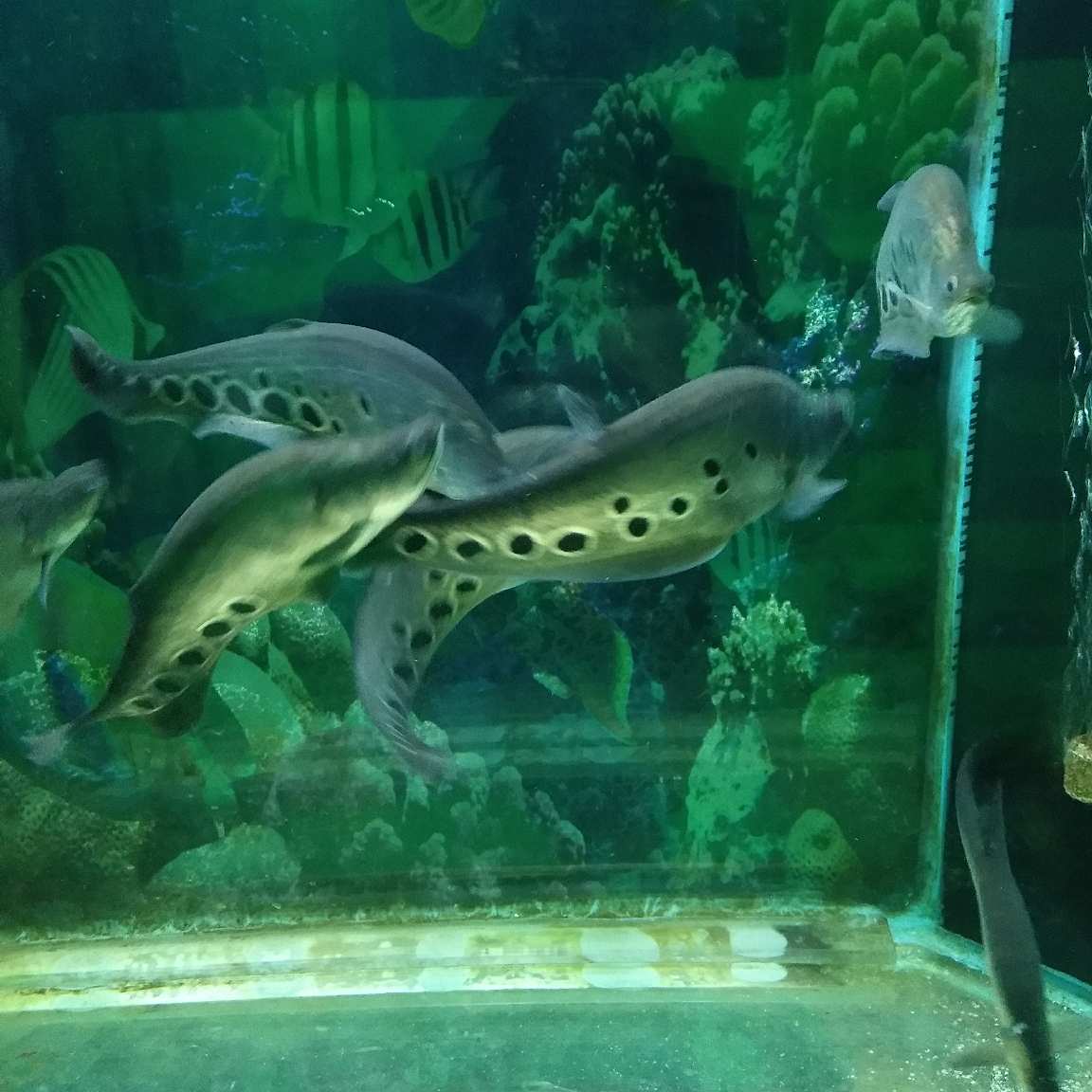油漆
