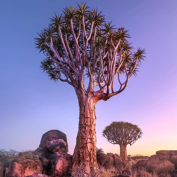 净水器安装净水器
