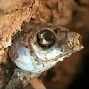 家具安装维修家居安装维修家具安装维修