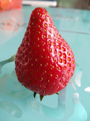 安装家具卫浴安装