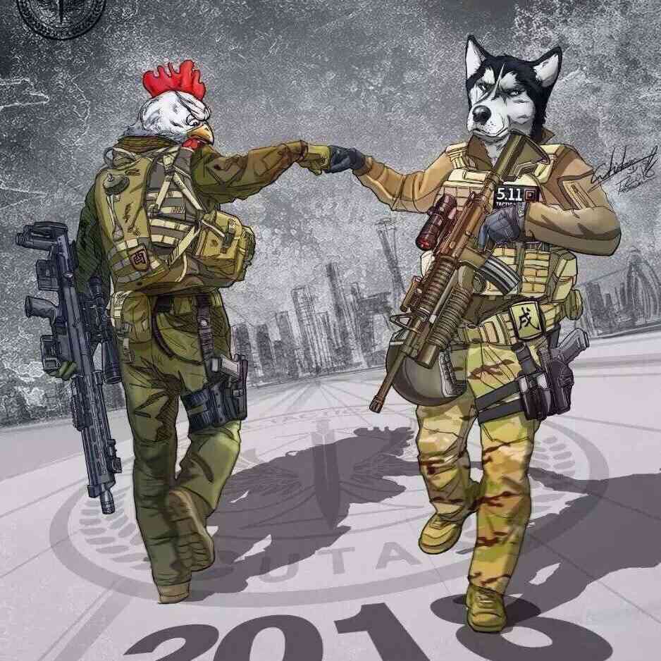 设计师