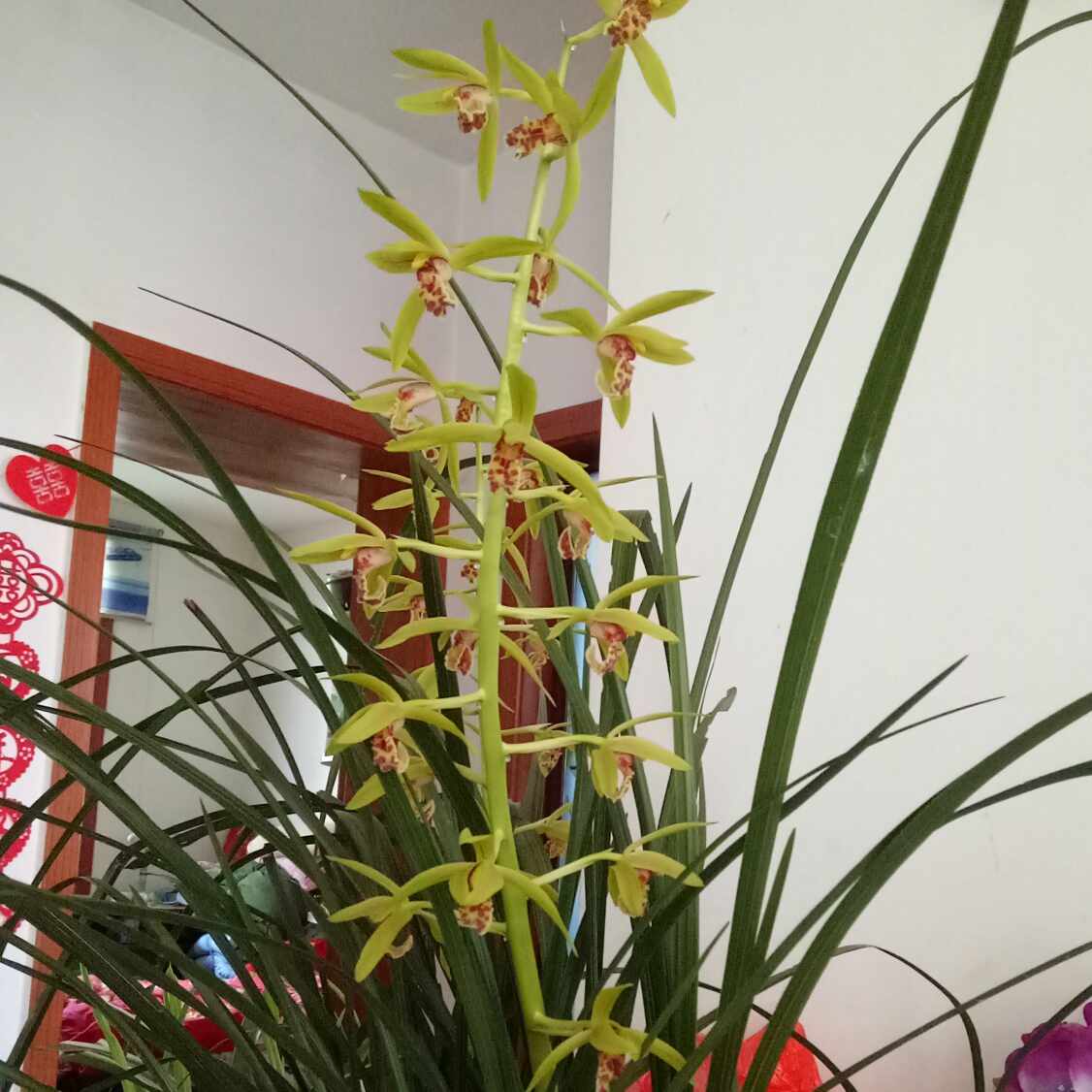 木工装修