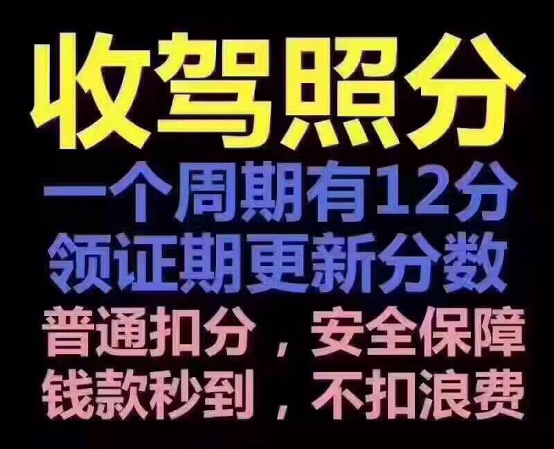 代办违章