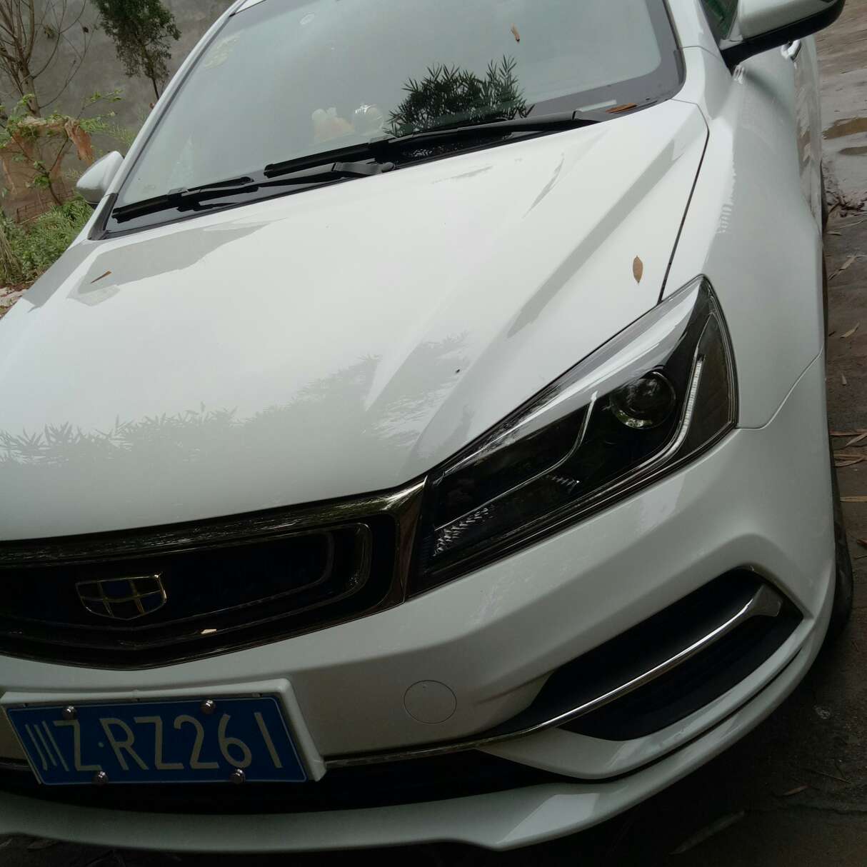 滴滴顺顺风车