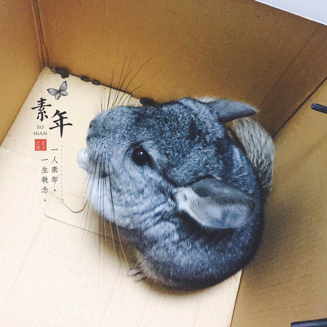 装修
