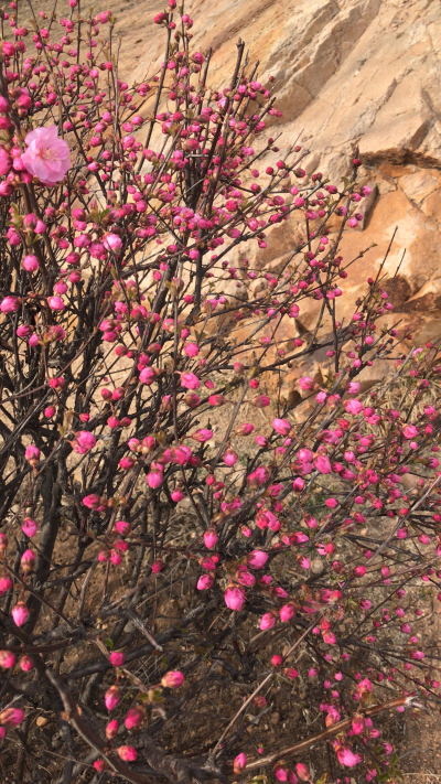 踢脚线开了一米多，找个师傅给修一下