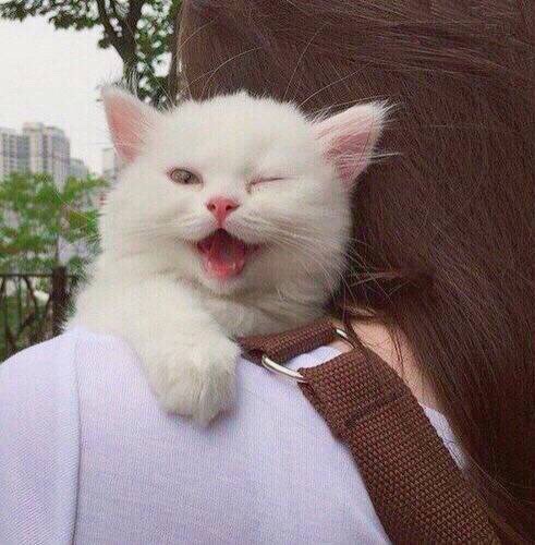 地板安装