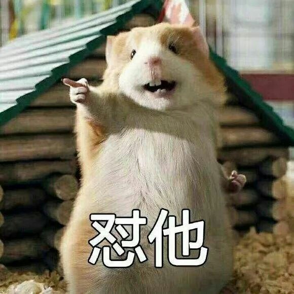 承接成都市办公家具安装，拆安，拉货，有团队，可外地安装！15881074467    小肖