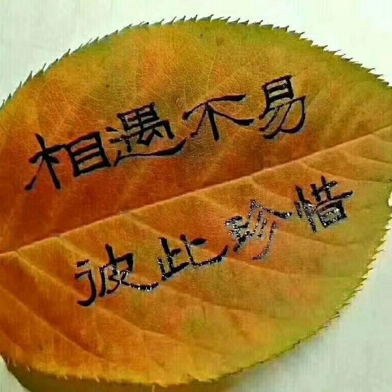 木工木工木工木工