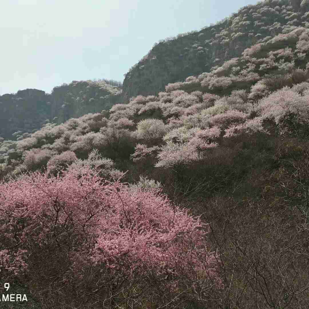 快递业务员