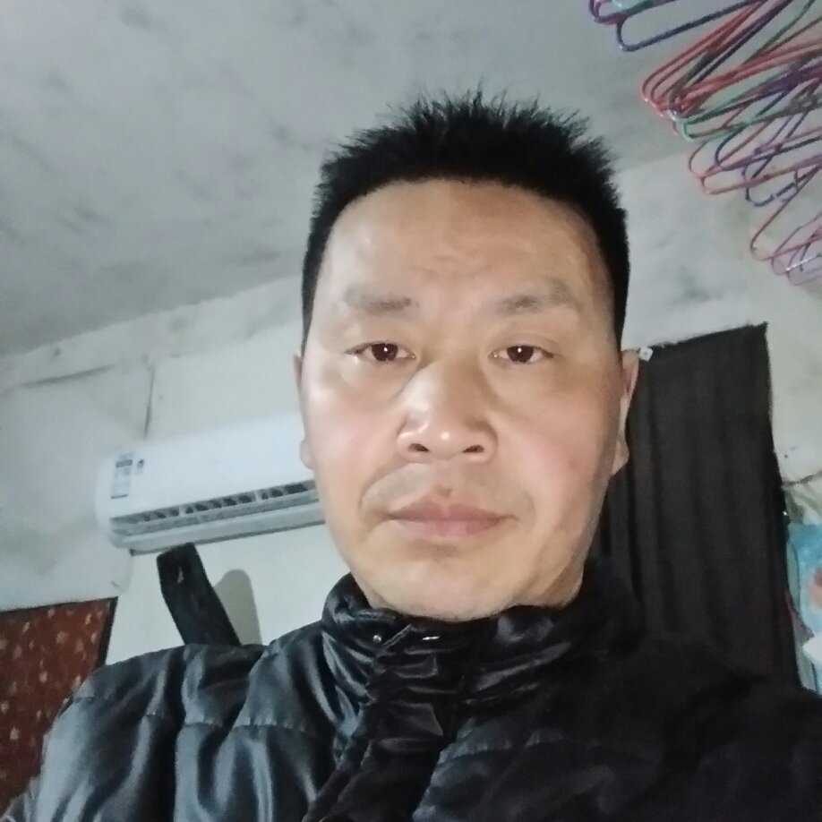 专业贴砖