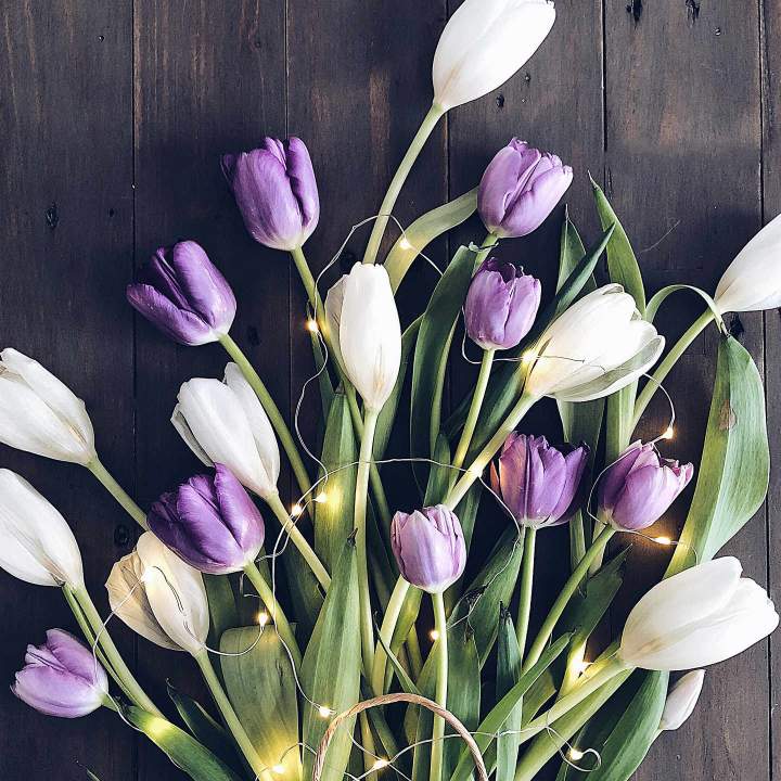 承接：家装，别墅，医院，酒店，手绘画，公装整装设计与施工！