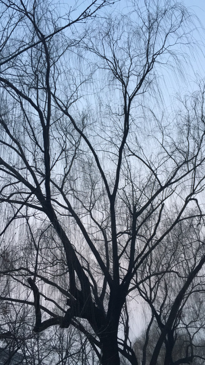 淘宝