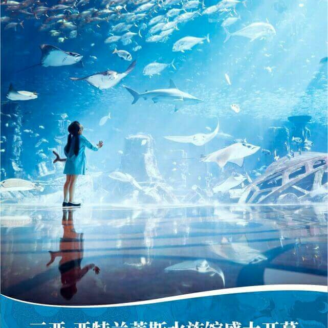 安装家具家具安装师傅家具安装师傅家具安装师傅