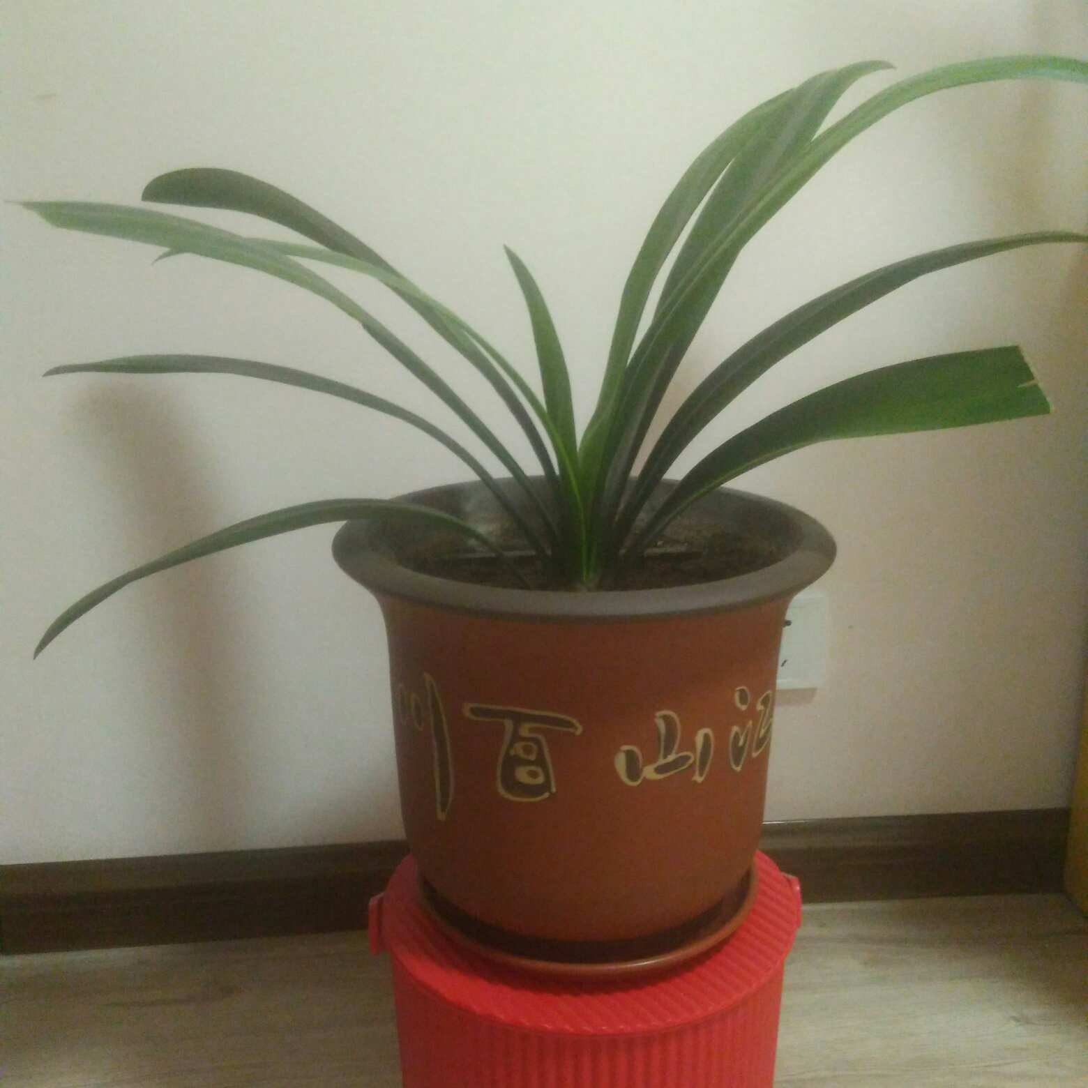 电工
