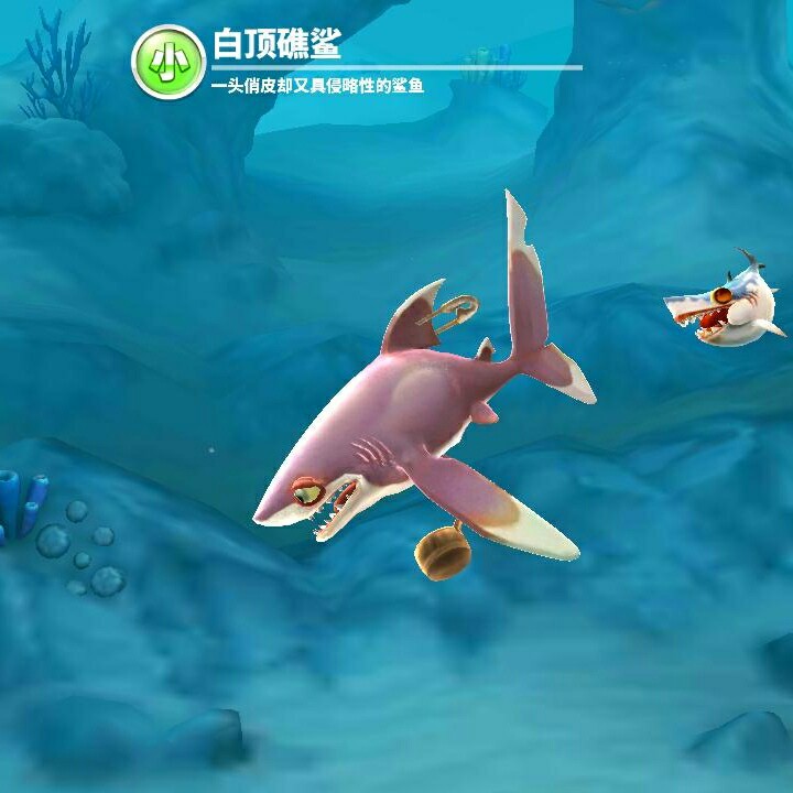 卫浴安装改水水卫浴安装电热卫浴安装维修