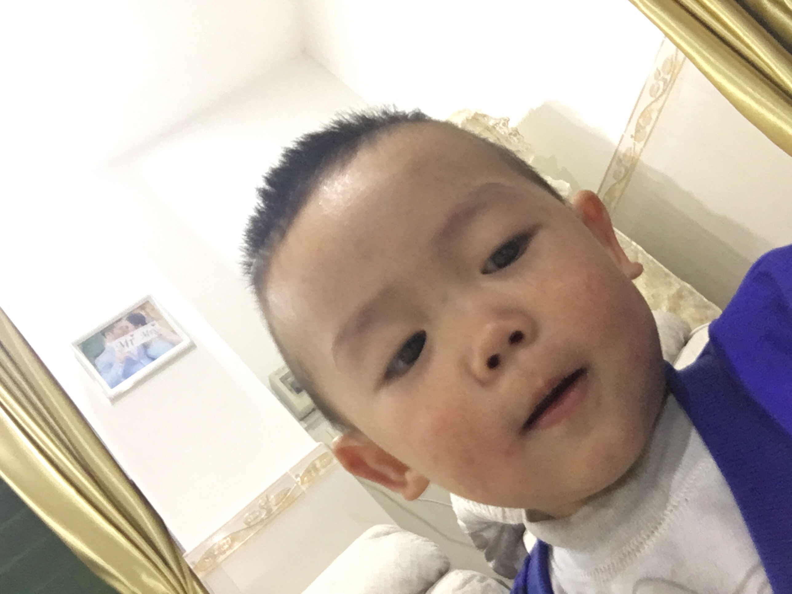 家具