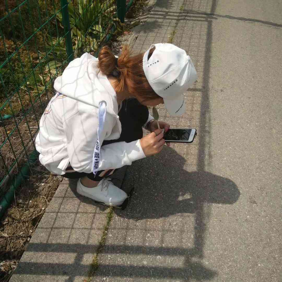 全能