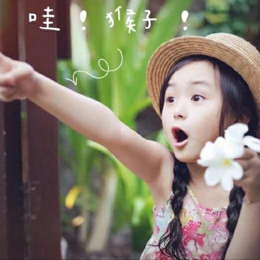 家电家居电脑