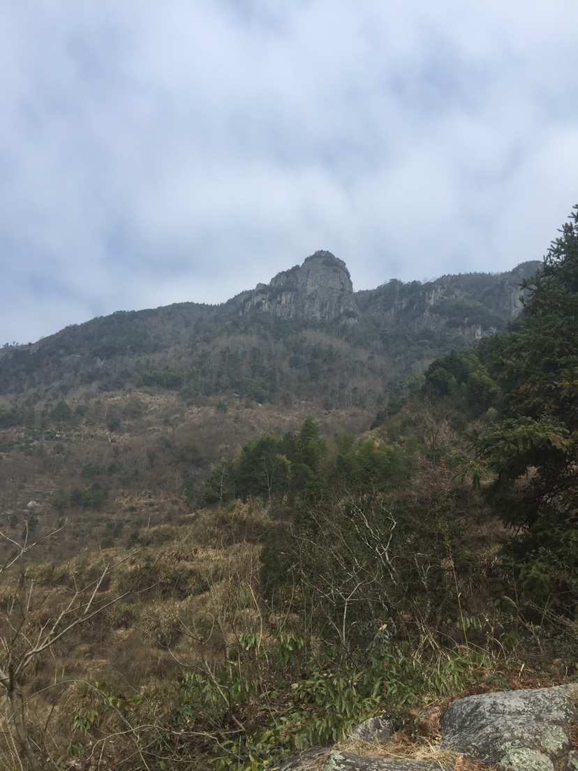漆面美容