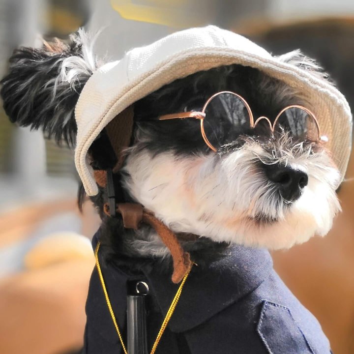 电工