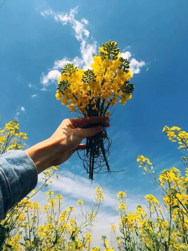搬沙发