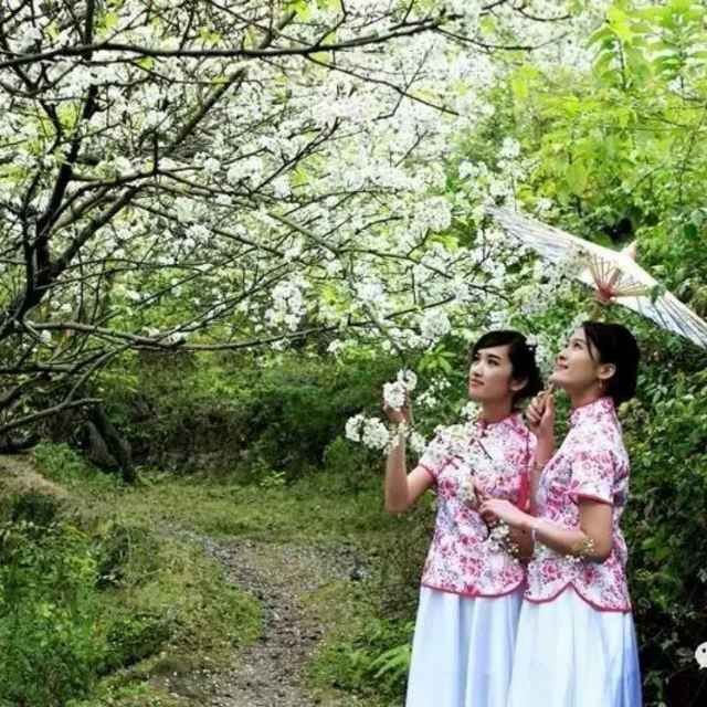 保潔