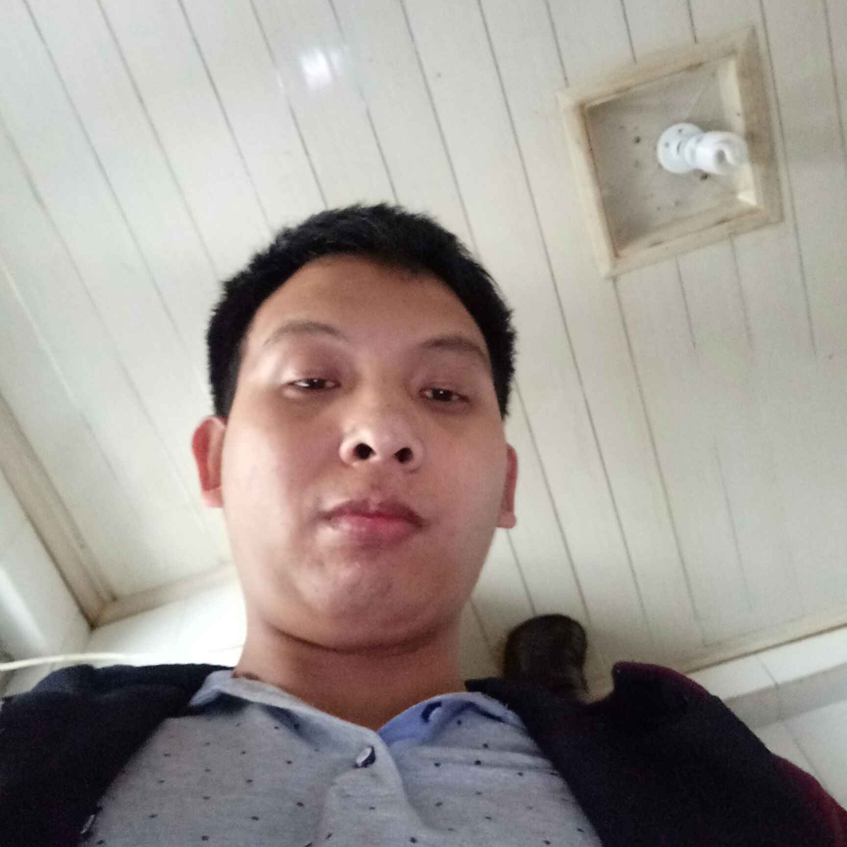 木地板墙纸