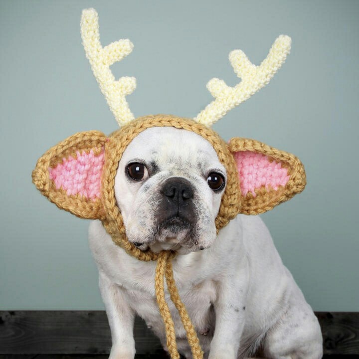 木工室内装修木工