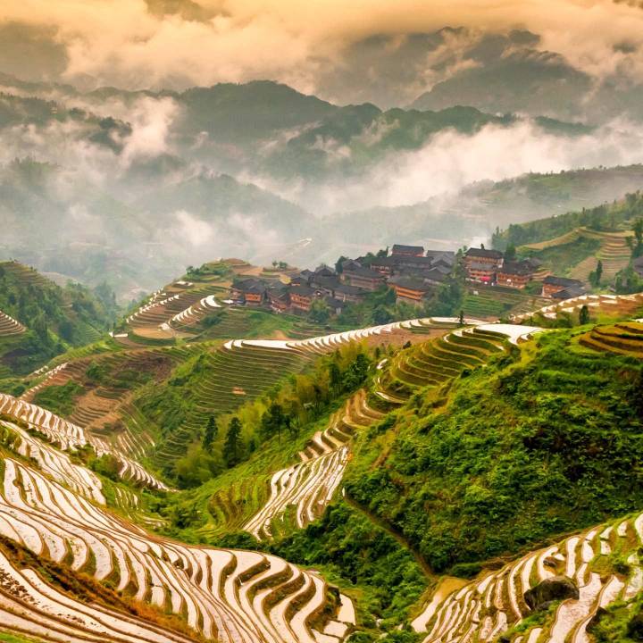 欢迎来电咨询15981802977