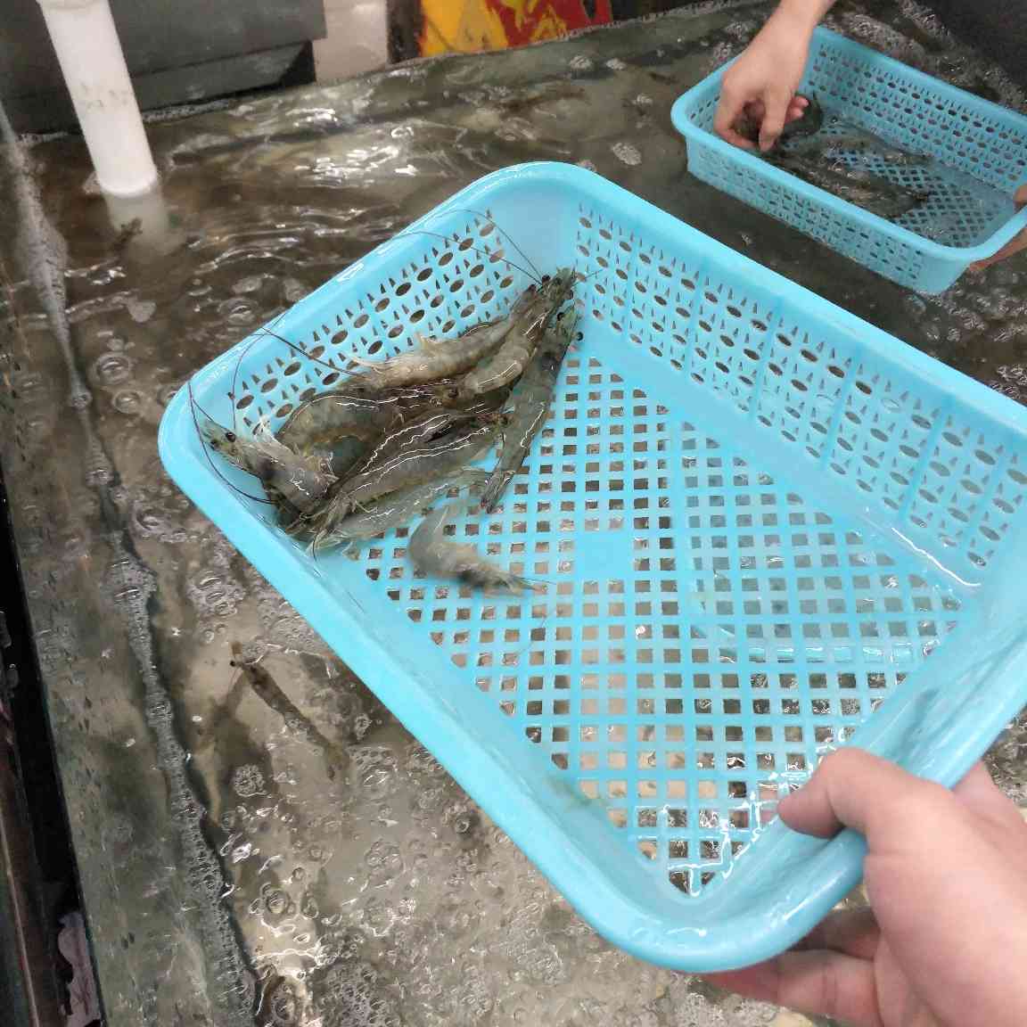 睡觉