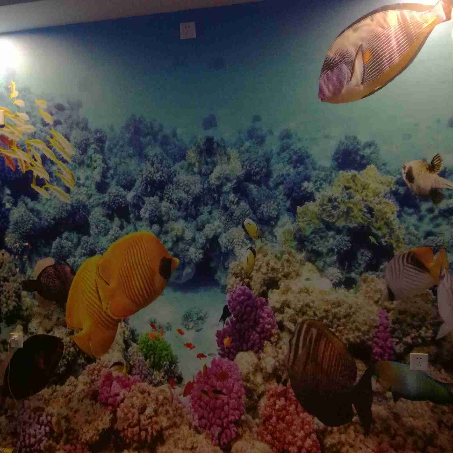 恒大未来城，健身运动中心，壁纸 壁布 完美竣工 实拍效果图。高端大气上档次