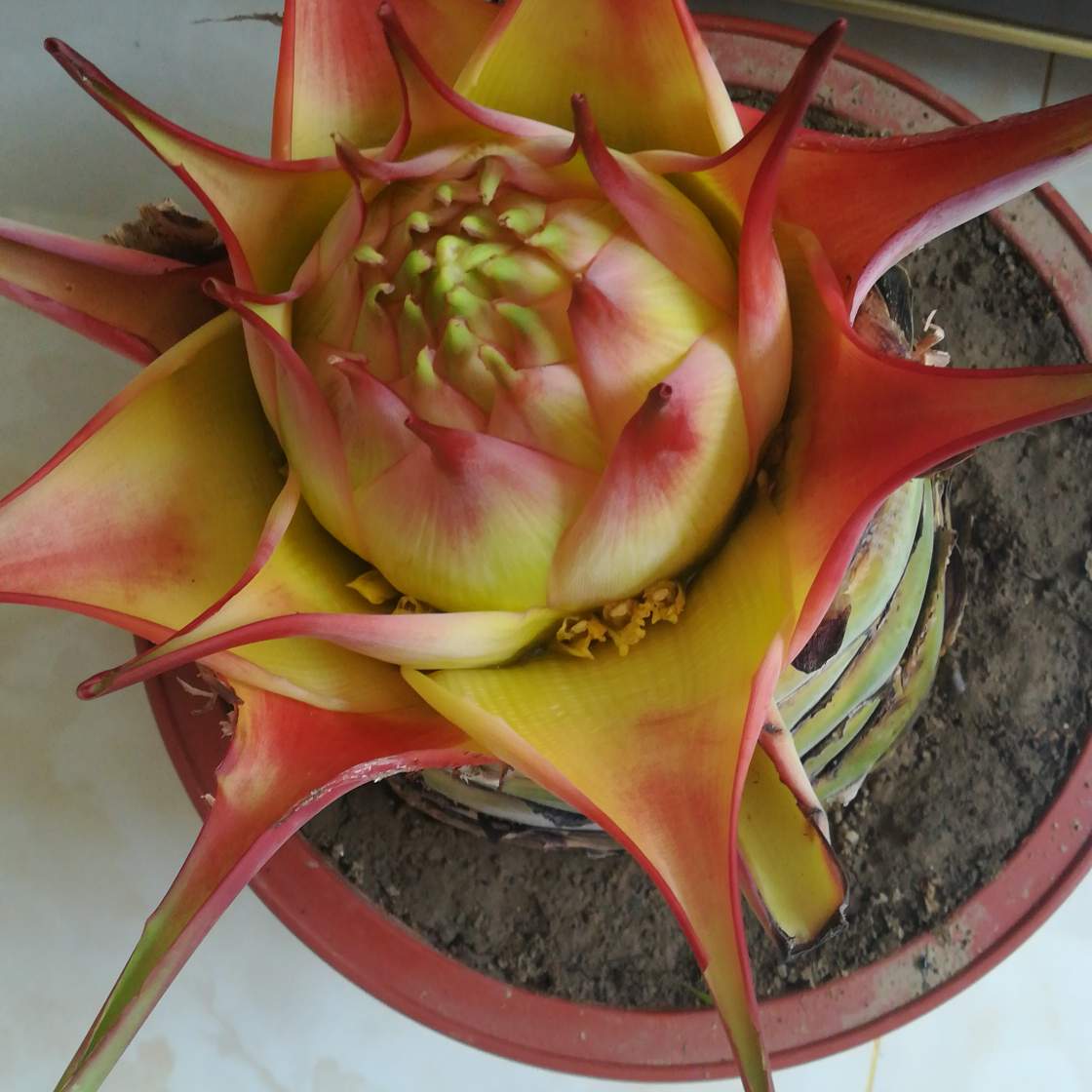 油漆工油工油工