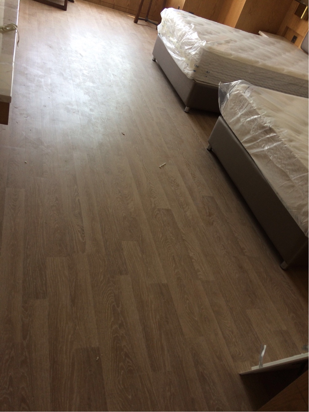 欧洲原产克诺斯邦