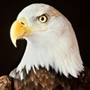 电脑维修打印机维修卖打印机耗材