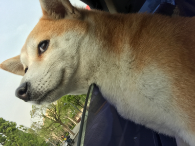 教育