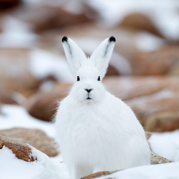 水暖空调灶具家庭各类维修